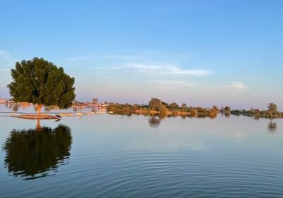 Al Wathba Lake Abu Dhabi: A Complete Guide for Visitors