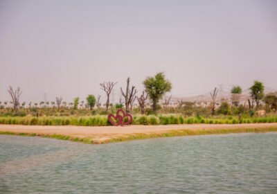 Al Marmoom Reserve Wildlife, Lakes and Heritage