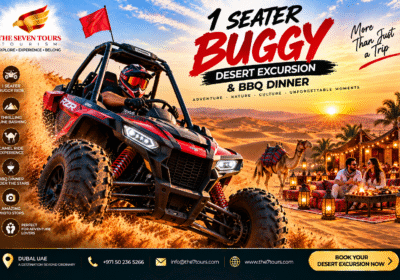 1 Seater Buggy Desert Excursion BBQ Dinner