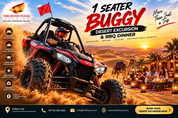 1 Seater Buggy Desert Excursion BBQ Dinner
