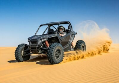 2 Seater Dune Buggy Desert Excursion BBQ Dinner