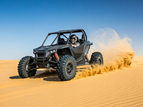 2 Seater Dune Buggy Desert Excursion BBQ Dinner