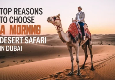 Top Reasons to Choose a Morning Desert Safari in Dubai : Unveiling the Magic