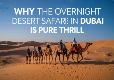 Top Reasons Why the Overnight Desert Safari Dubai is Pure Thrill