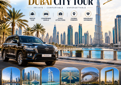 Private Dubai City Tour
