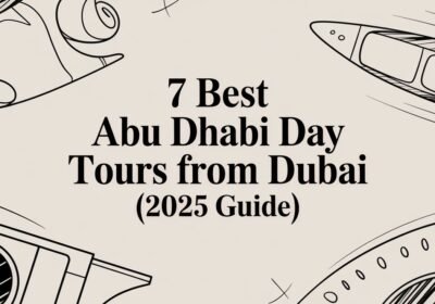 7 Best Abu Dhabi Day Tours from Dubai (2025 Guide)