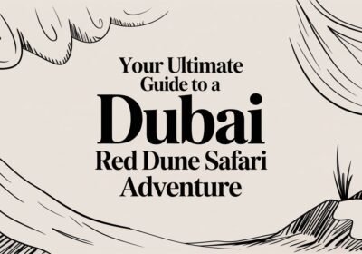 Your Ultimate Guide to a Dubai Red Dune Safari Adventure