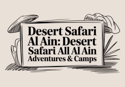 Your Guide to the Best Desert Safari in Al Ain